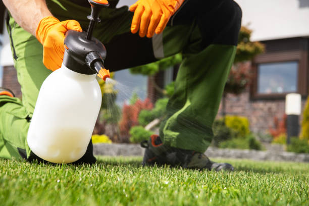 Best Rat Extermination Near Me  in Schoolcraft, MI