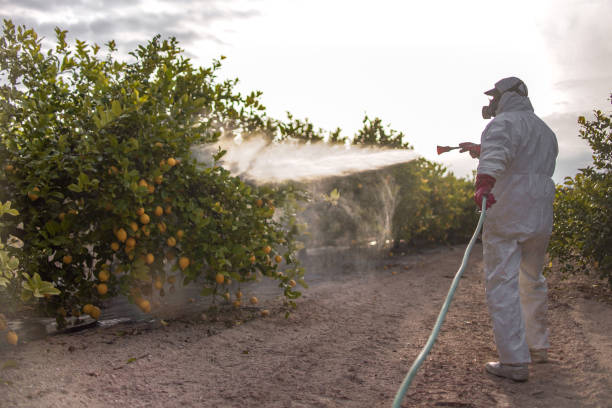Best Commercial Pest Control Services  in Schoolcraft, MI