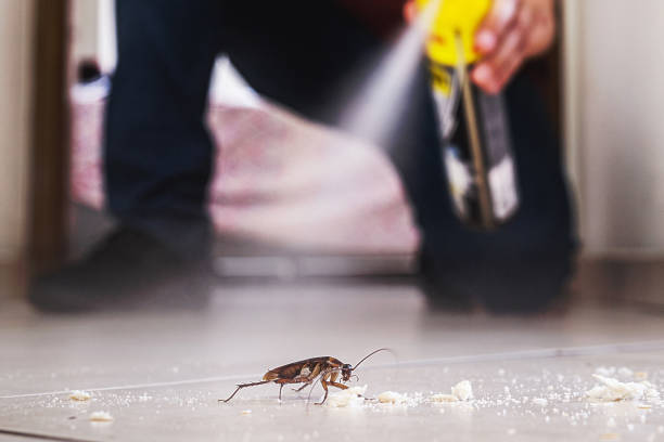  Schoolcraft, MI Pest Control Pros