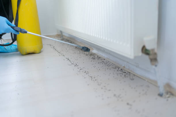 Best Pest Control Near Me  in Schoolcraft, MI