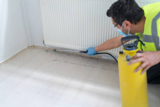 Best Emergency Pest Control  in Schoolcraft, MI